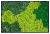 Riva Moss Essentials Framed E04 (20