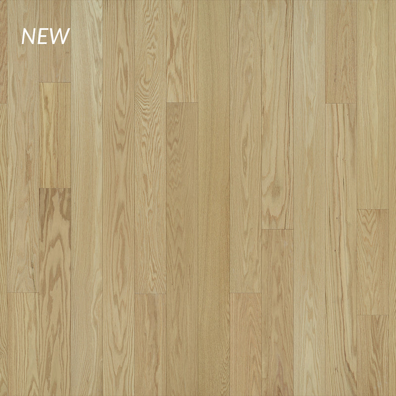Novella Novella Red Oak London