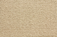 Sequoia - Image 2