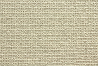 Sequoia - Image 4